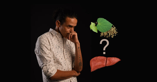 Let’s Uncover the Truth: Does Kava Cause Liver Damage?