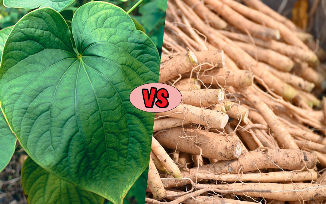 Kava leaves and ashwagandha roots shown side by side with a ‘vs.’ symbol for comparison.