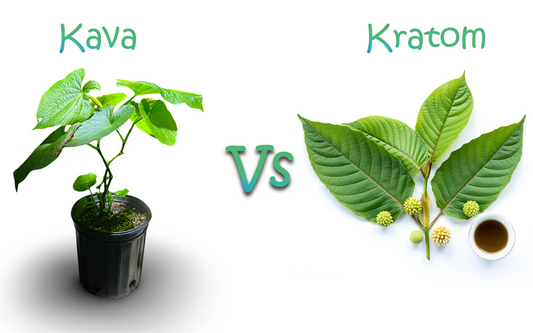 Kava leaves and kratom leaves shown side by side with a ‘vs.’ symbol for comparison
