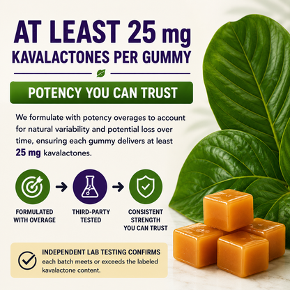 Kava Gummies | 25 mg Standardized Kavalactones per Gummy | Root Beer Flavor | Verified by COA | Wholesale