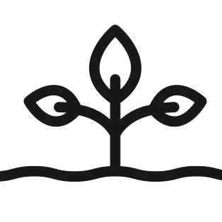 Plant Icon to represent Kava Growing Naturally